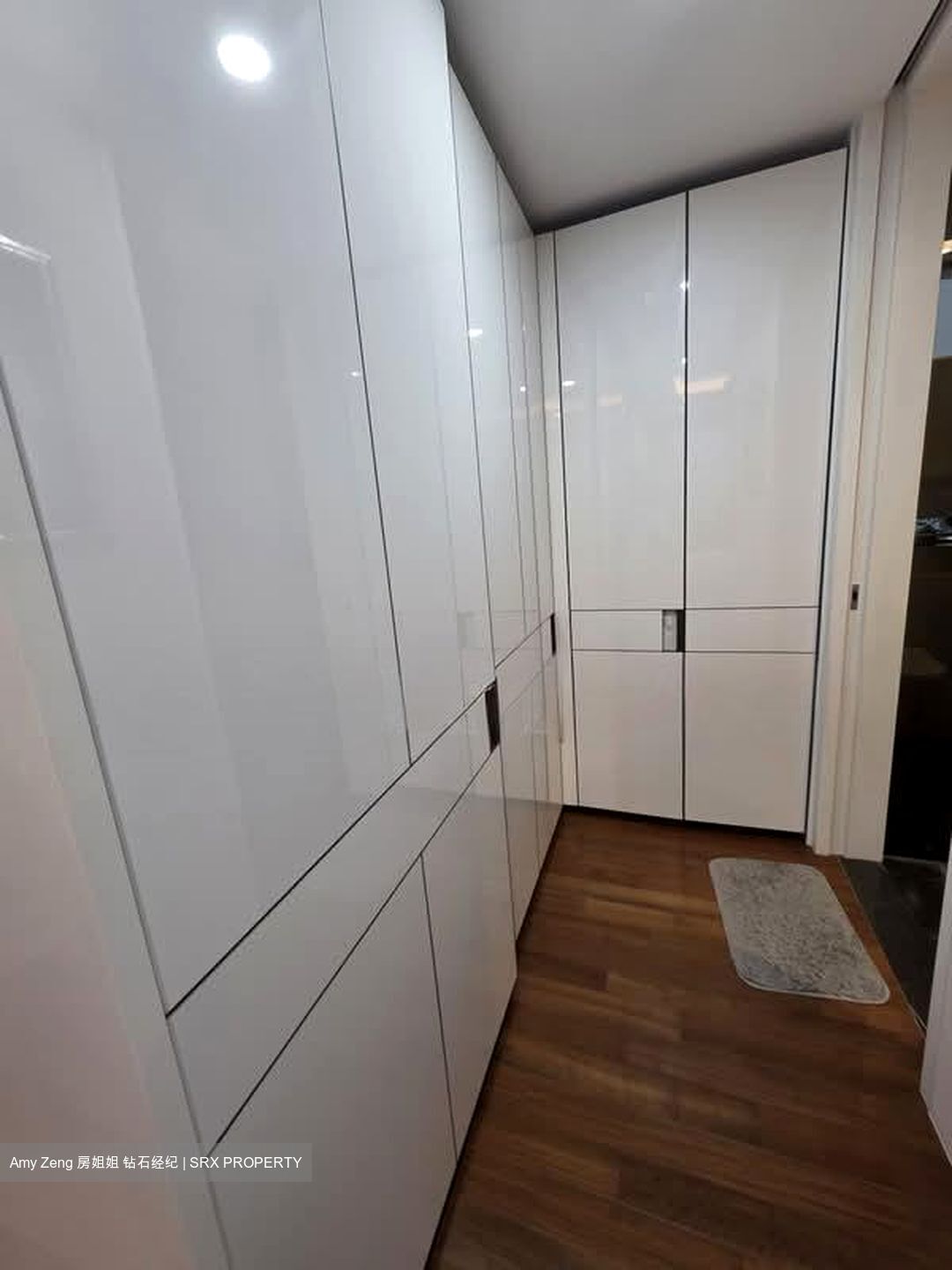 Amber Park (D15), Condominium #581803671